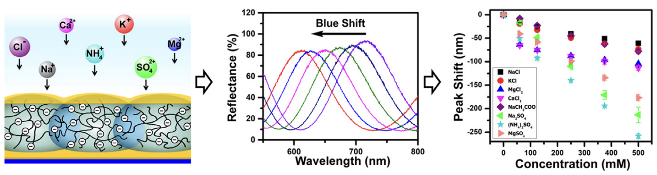 Three-panel figure showing ion interaction with hydrogel, reflectance spectra showing blue shift, and peak shift vs concentration