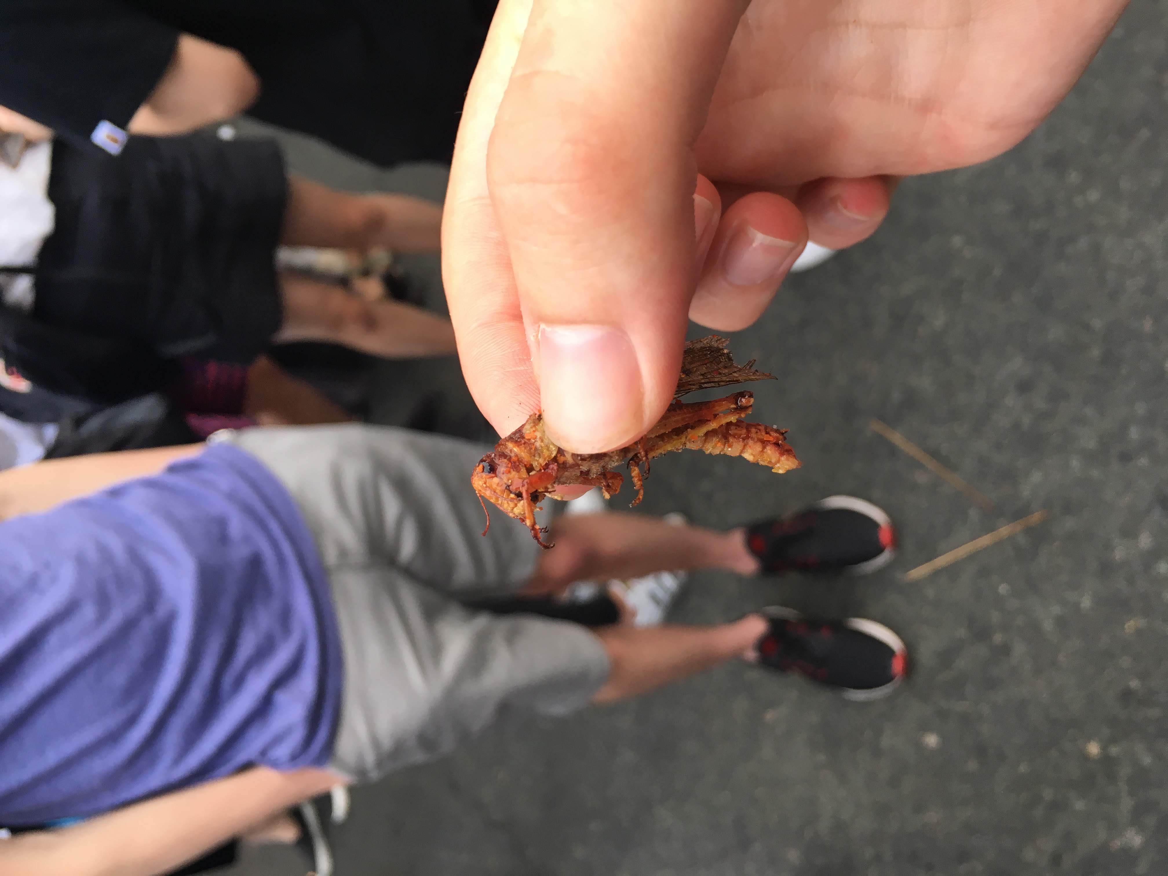 Traveling to various destinations